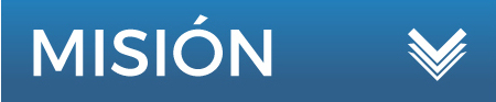 Misión